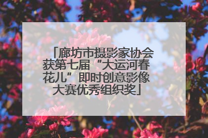 廊坊市摄影家协会获第七届“大运河春花儿”即时创意影像大赛优秀组织奖