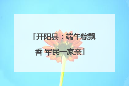 开阳县：端午粽飘香 军民一家亲
