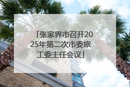 张家界市召开2025年第二次市委旅工委主任会议