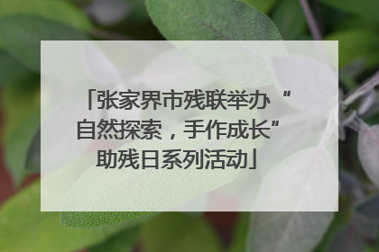 张家界市残联举办“自然探索，手作成长”助残日系列活动