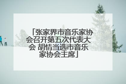 张家界市音乐家协会召开第五次代表大会 胡情当选市音乐家协会主席