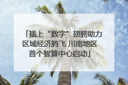 插上“数字”翅膀助力区域经济腾飞 川南地区首个智算中心启动