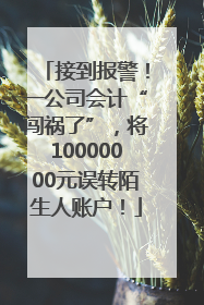 接到报警！一公司会计“闯祸了”，将10000000元误转陌生人账户！