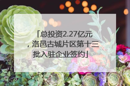 总投资2.27亿元，洛邑古城片区第十三批入驻企业签约