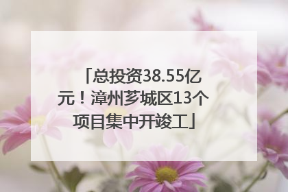 总投资38.55亿元！漳州芗城区13个项目集中开竣工