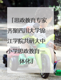 思政教育专家齐聚四川大学锦江学院共研大中小学思政教育一体化