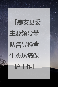 惠安县委主要领导带队督导检查生态环境保护工作