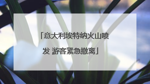 意大利埃特纳火山喷发 游客紧急撤离