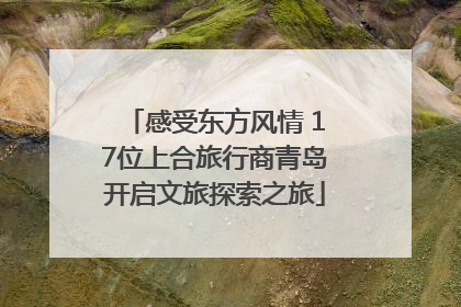 感受东方风情 17位上合旅行商青岛开启文旅探索之旅