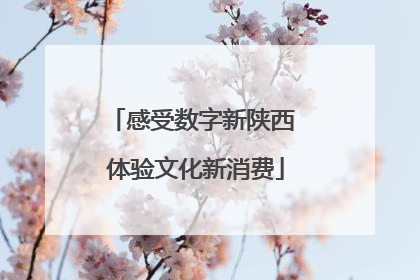 感受数字新陕西 体验文化新消费
