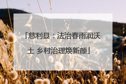 慈利县：法治春雨润沃土 乡村治理焕新颜