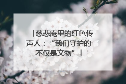慈悲庵里的红色传声人：“我们守护的不仅是文物”