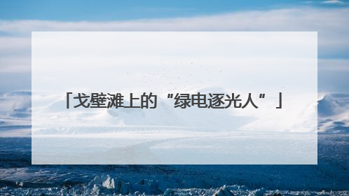 戈壁滩上的“绿电逐光人”