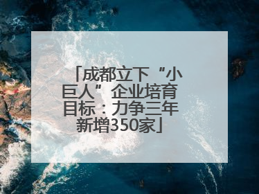 成都立下“小巨人”企业培育目标：力争三年新增350家