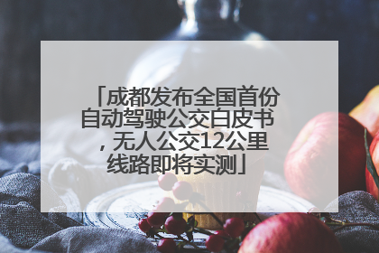 成都发布全国首份自动驾驶公交白皮书，无人公交12公里线路即将实测