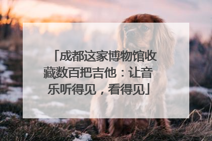 成都这家博物馆收藏数百把吉他：让音乐听得见，看得见