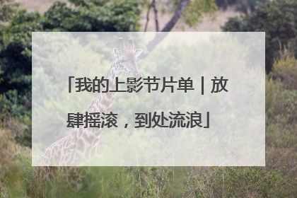 我的上影节片单｜放肆摇滚，到处流浪