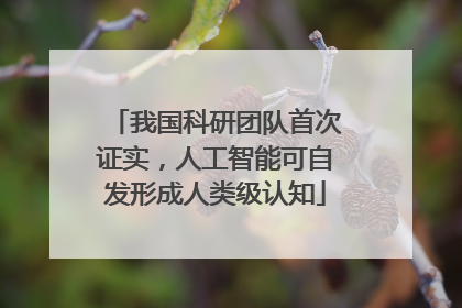 我国科研团队首次证实，人工智能可自发形成人类级认知