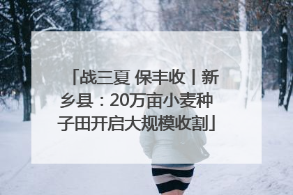 战三夏 保丰收丨新乡县：20万亩小麦种子田开启大规模收割