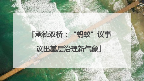 承德双桥：“蚂蚁”议事 议出基层治理新气象