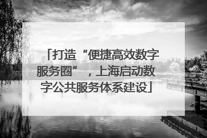 打造“便捷高效数字服务圈”，上海启动数字公共服务体系建设