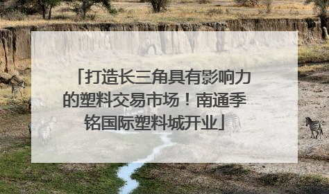 打造长三角具有影响力的塑料交易市场！南通季铭国际塑料城开业