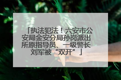 执法犯法！六安市公安局金安分局孙岗派出所原指导员、一级警长刘军被“双开”