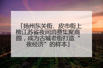 扬州东关街、皮市街上榜江苏省夜间消费集聚商圈，成为古城老街打造“夜经济”的样本