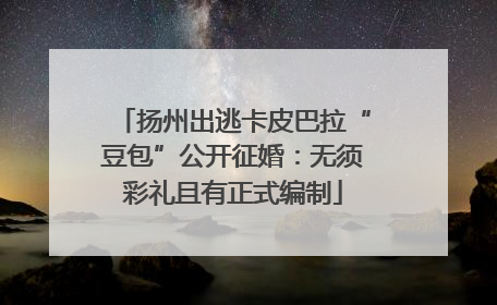 扬州出逃卡皮巴拉“豆包”公开征婚：无须彩礼且有正式编制