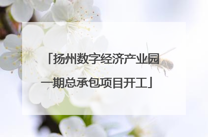 扬州数字经济产业园一期总承包项目开工