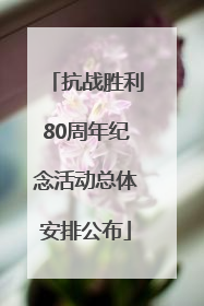 抗战胜利80周年纪念活动总体安排公布
