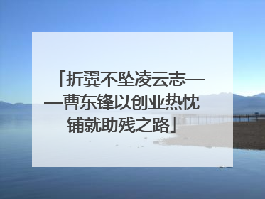 折翼不坠凌云志——曹东锋以创业热忱铺就助残之路