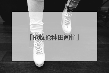 抢收抢种田间忙