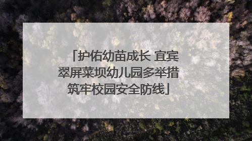 护佑幼苗成长 宜宾翠屏菜坝幼儿园多举措筑牢校园安全防线