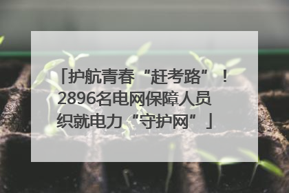 护航青春“赶考路”！2896名电网保障人员织就电力“守护网”
