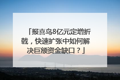 报喜鸟8亿元定增折戟，快速扩张中如何解决巨额资金缺口？