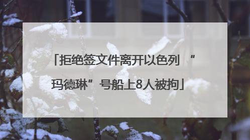 拒绝签文件离开以色列 “玛德琳”号船上8人被拘