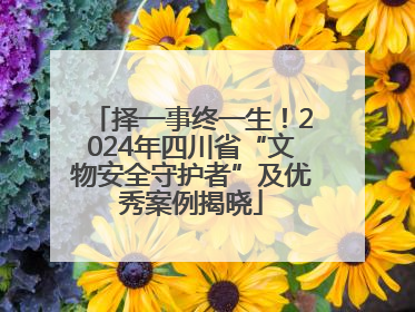择一事终一生！2024年四川省“文物安全守护者”及优秀案例揭晓