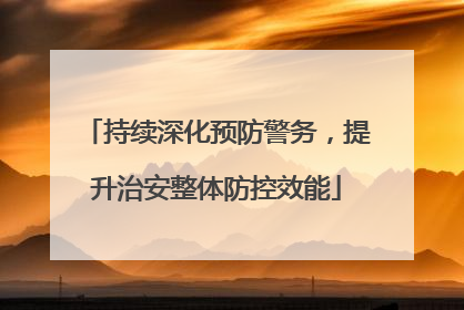 持续深化预防警务，提升治安整体防控效能