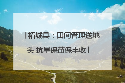 柘城县：田间管理送地头 抗旱保苗保丰收
