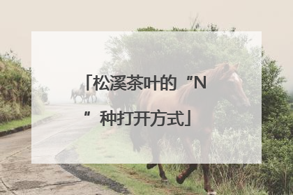 松溪茶叶的“N”种打开方式