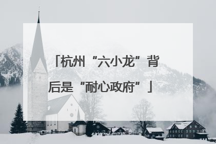 杭州“六小龙”背后是“耐心政府”