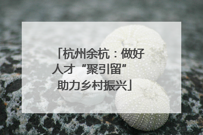 杭州余杭：做好人才“聚引留” 助力乡村振兴