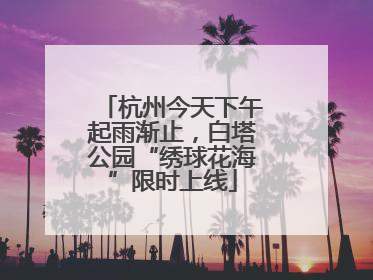 杭州今天下午起雨渐止，白塔公园“绣球花海”限时上线