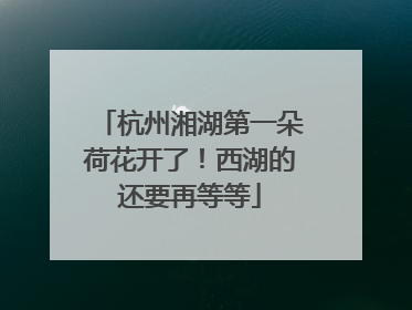 杭州湘湖第一朵荷花开了！西湖的还要再等等