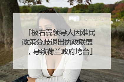 极右翼领导人因难民政策分歧退出执政联盟，导致荷兰政府垮台