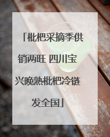 枇杷采摘季供销两旺 四川宝兴晚熟枇杷冷链发全国