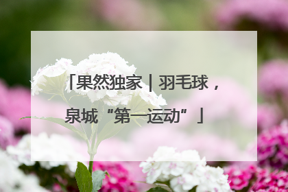 果然独家｜羽毛球，泉城“第一运动”