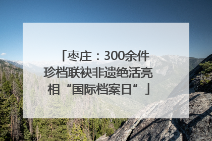 枣庄：300余件珍档联袂非遗绝活亮相“国际档案日”