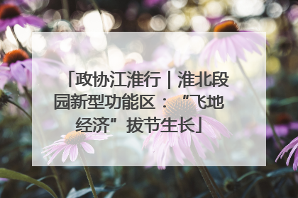 政协江淮行｜淮北段园新型功能区：“飞地经济”拔节生长